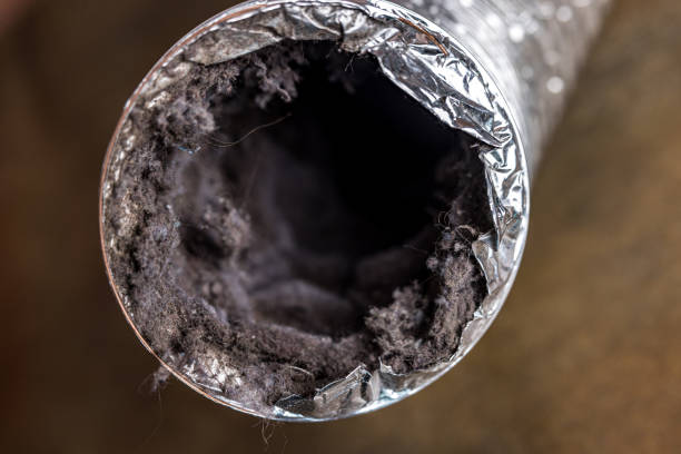 Professional Airduct Cleaning in Atlanta, TX